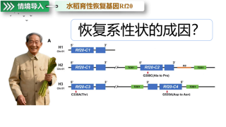 图片.png 图片.png