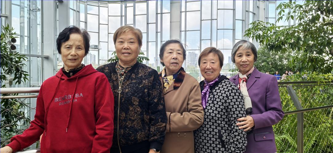 图片33.jpg 图片33.jpg