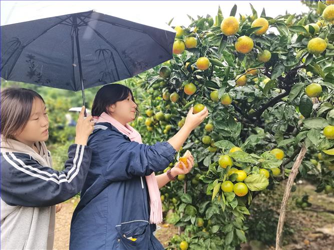 IMG_20251107_094632.jpg IMG_20251107_094632.jpg