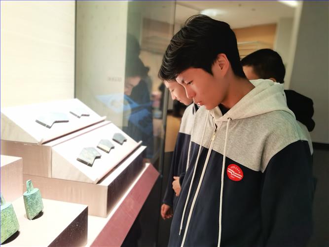 IMG_20251107_140234.jpg IMG_20251107_140234.jpg